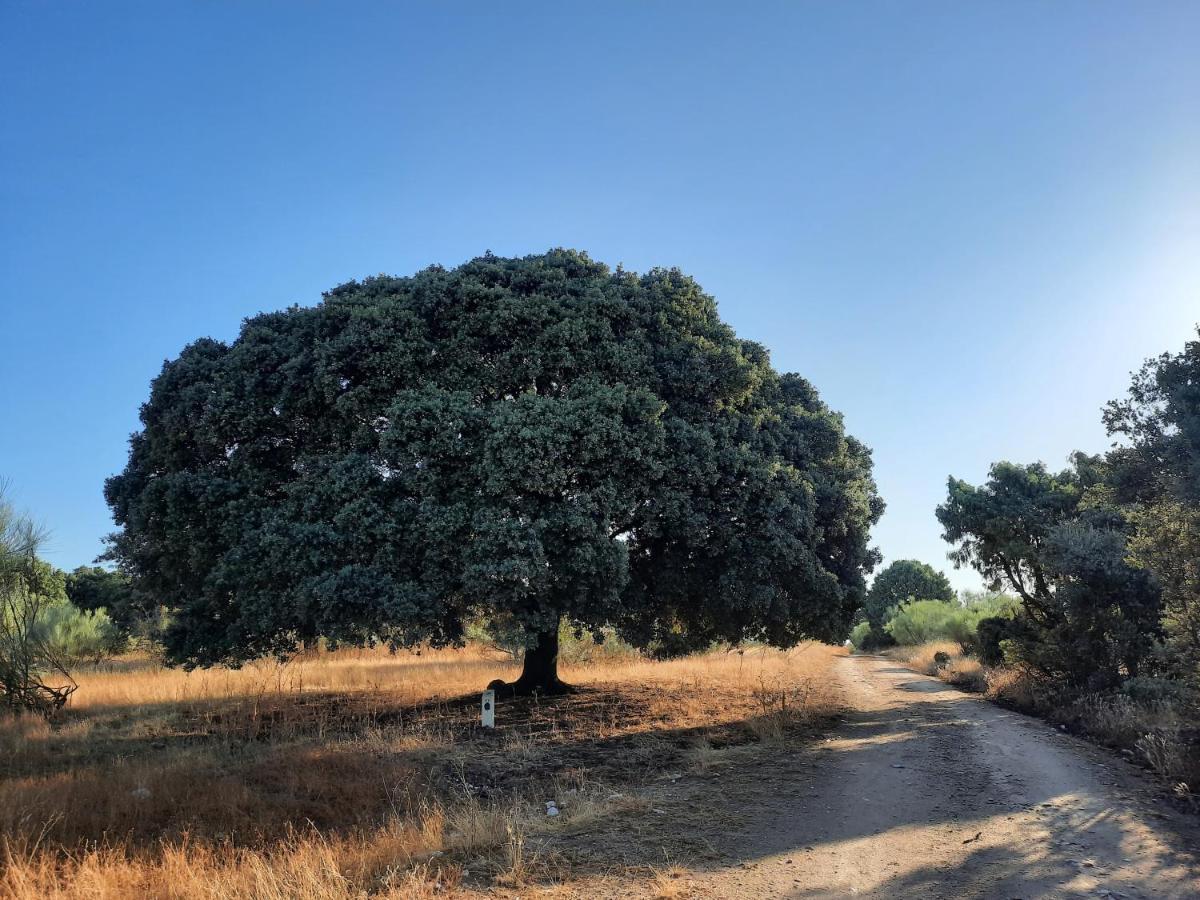 Alojamientos Rurales La Aldaba Navalagamella Esterno foto